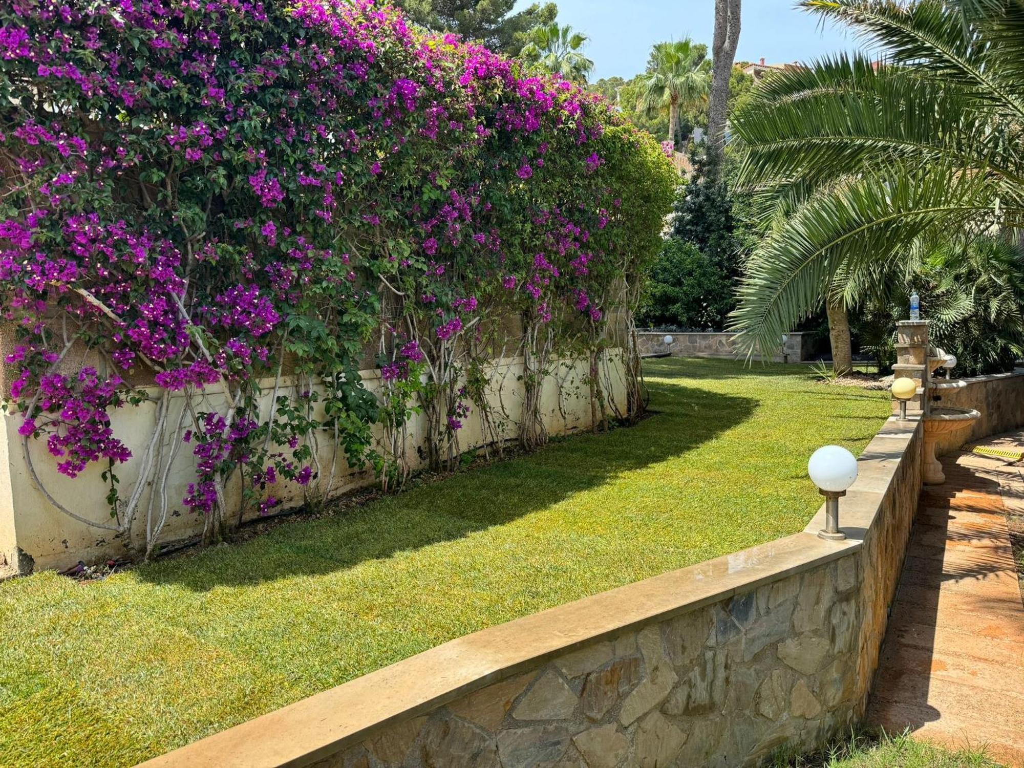 Villa Exklusive In Paguera Fuer Bis Zu 8 Personen, Mit Meerblick Und Pool